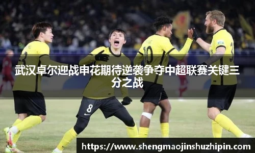 vsport武汉卓尔迎战申花期待逆袭争夺中超联赛关键三分之战