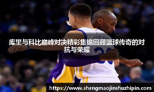 vsport体育在线官网